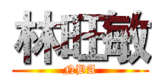 林旺敏 (NBA)