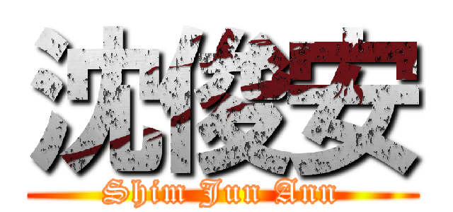 沈俊安 (Shim Jun Ann)