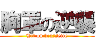 胸罩の逆襲 (Hit on brasseire)
