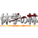 休学の林 (not go to school)