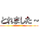 とれました～ (ＴＯＲＥＭＡＳＩＴＡ～)