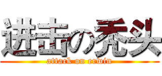 进击の秃头 (attack on erwin)