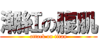 潮紅の腹肌 (attack on titan)