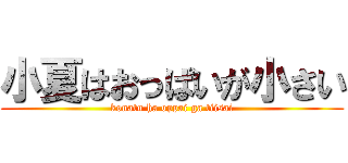 小夏はおっぱいが小さい (konatu ha oppai ga tiisai)