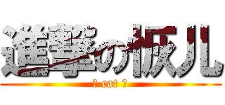 進撃の恢儿 (喵 cat 喵)