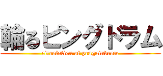 輪るピングドラム (circulation of penguindrum)