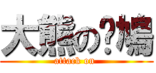 大熊の戇鳩 (attack on )