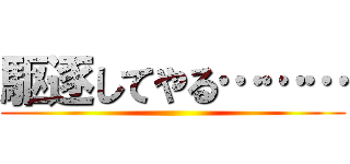 駆逐してやる……… ()