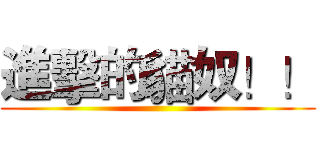 進擊的貓奴！！ ()