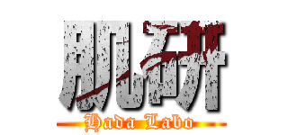 肌研 (Hada Labo)