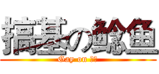 搞基の鲶鱼 (Gay on 鲶鱼)