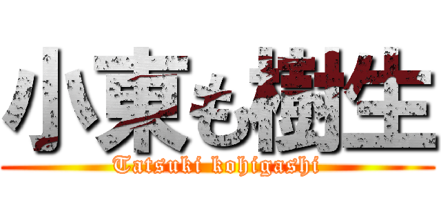 小東も樹生 (Tatsuki kohigashi)