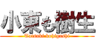 小東も樹生 (Tatsuki kohigashi)