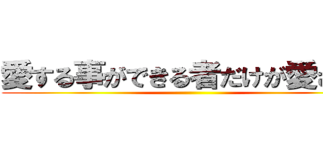 愛する事ができる者だけが愛される ()