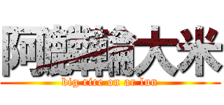 阿麟輪大米 (big rice on ar lun)