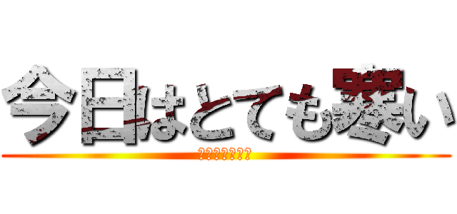 今日はとても寒い (何時春がくるの)