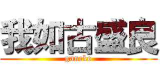 我如古盛良 (ganeko)