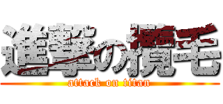 進撃の攬毛 (attack on titan)