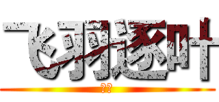 飞羽逐叶 (凤司)