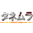 タネムラ (tanemura)