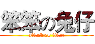 笨笨の兔仔 (attack on titan)