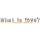Ｗｈａｔ ｉｓ ｌｏｖｅ？ (Baby don\'t hurt me!)