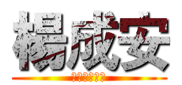 楊成安 (模範生候選人)