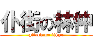 仆街の林仲 (attack on titan)