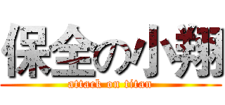 保全の小翔 (attack on titan)