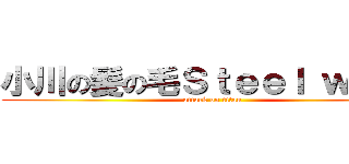 小川の髪の毛Ｓｔｅｅｌ ｗｏｏｌ (attack on titan)