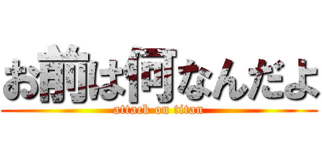 お前は何なんだよ (attack on titan)