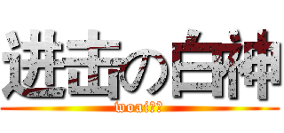 进击の白神 (woai真白)