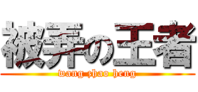 被弄の王者 (wang zhao heng)
