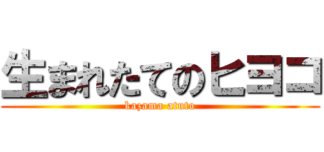 生まれたてのヒヨコ (kazama atuto)