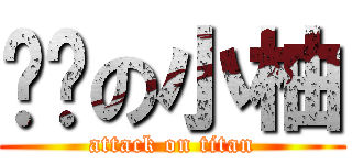 嗨咖の小柚 (attack on titan)