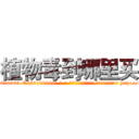 植物毒到哪里买 (植物毒到哪里买【电-186x2687x6963-Q278180069元-吉-药-业】我们做的是长期生意,靠的是老客户长期支持 http://sngk.net/jGtqfJ
)