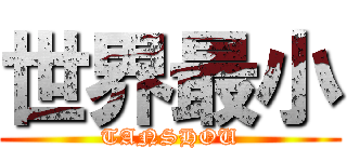 世界最小 (TANSHOU)