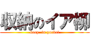 収納のイア柳 (keep  in pocket)