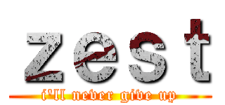 ｚｅｓｔ (i'll never give up)