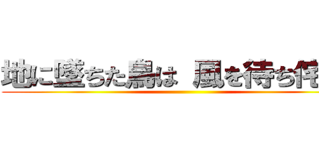 地に墜ちた鳥は 風を待ち侘びる ()
