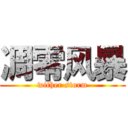 凋零风暴 (wither storm)