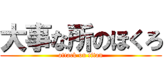 大事な所のほくろ (attack on titan)