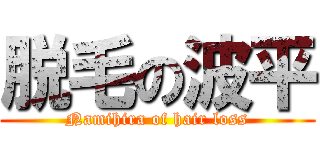 脱毛の波平 (Namihira of hair loss)