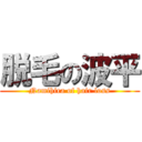 脱毛の波平 (Namihira of hair loss)