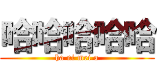 哈哈哈哈哈 (ha ni mei a)