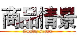 商品情景 (Goods scene)