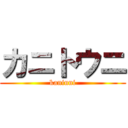 カニトウニ (kaniuni)