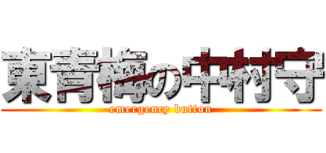 東青梅の中村守 (emergency button)