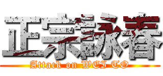 正宗詠春 (Attack on WEI TO)