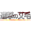 進撃の艾毛 (attack on titan)